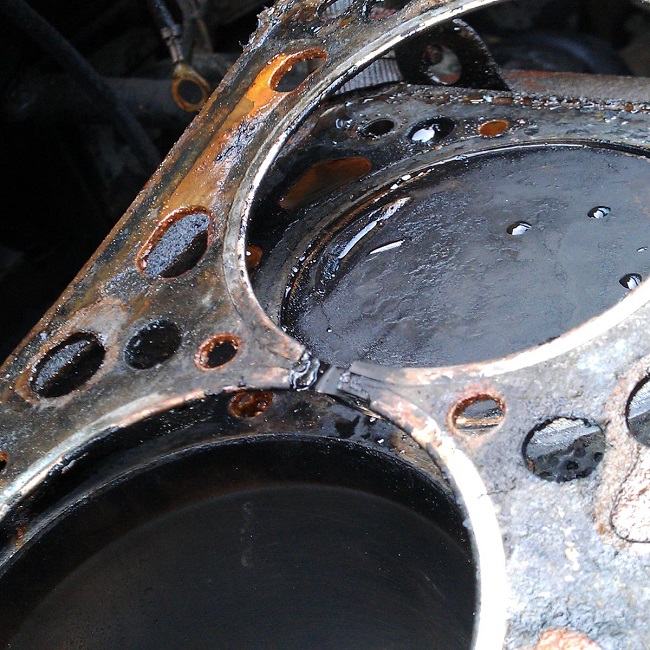 Head Gasket 2