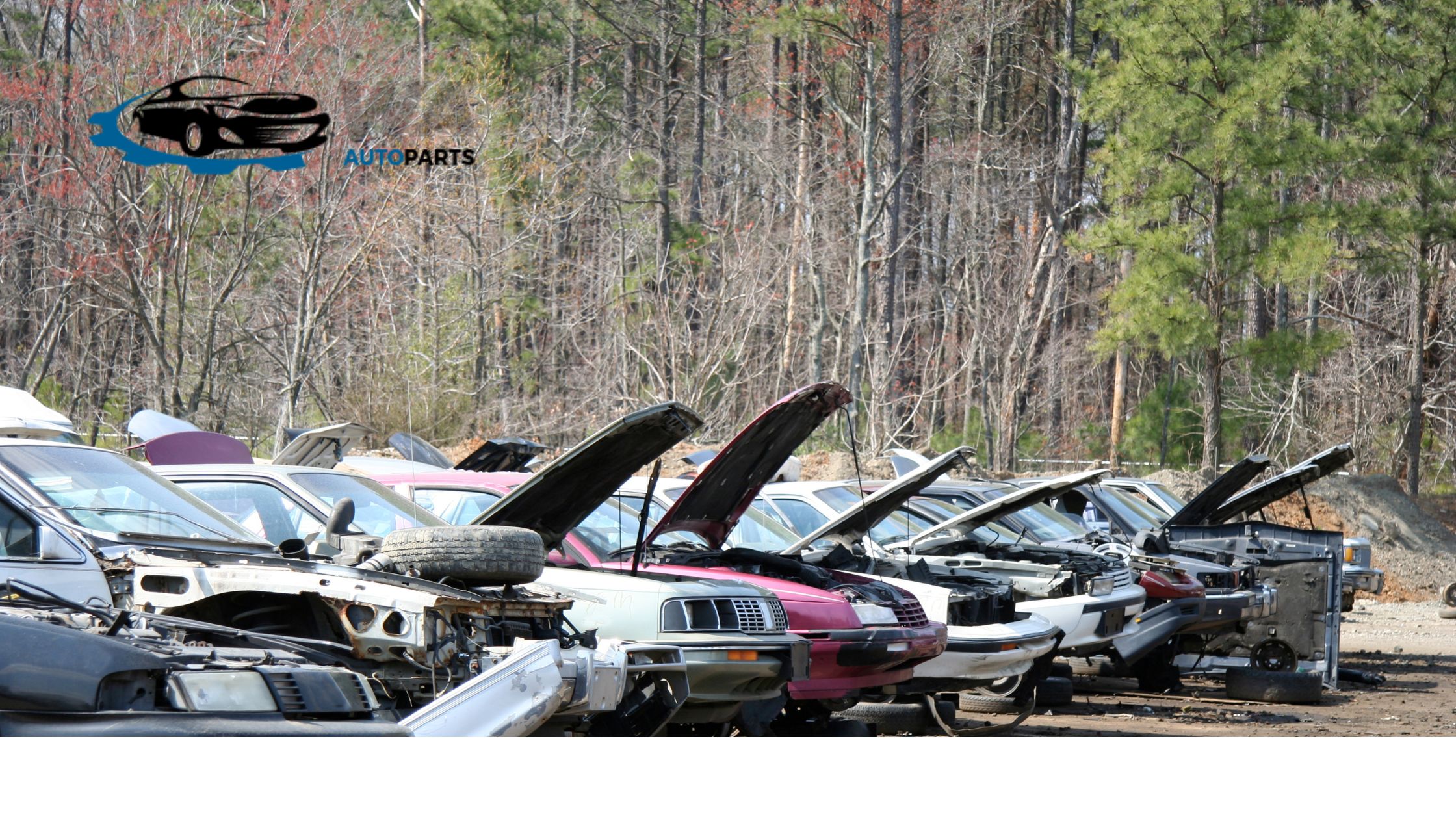 Auto Salvage Yards Near My Location
