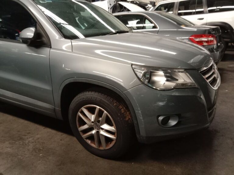 Volkswagen Tiguan 2010 Grey