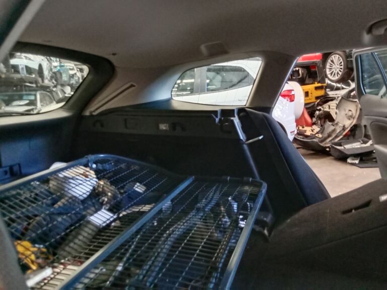 Holden Commodore 2019 White Wrecking